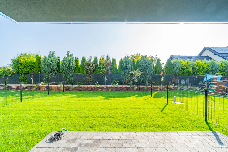 Sierpień 2025 - zdjęcie 3