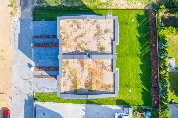 Sierpień 2025 - zdjęcie 8